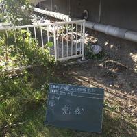 NiwaNaviImage NiwaNaviImage