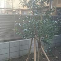 NiwaNaviImage NiwaNaviImage