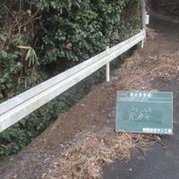 NiwaNaviImage NiwaNaviImage