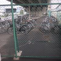 NiwaNaviImage NiwaNaviImage