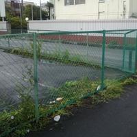 NiwaNaviImage NiwaNaviImage