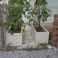 NiwaNaviImage NiwaNaviImage