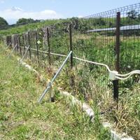 NiwaNaviImage NiwaNaviImage