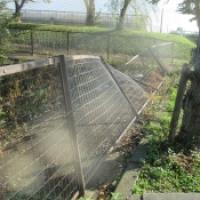 NiwaNaviImage NiwaNaviImage