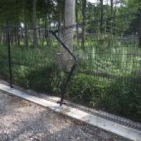 NiwaNaviImage NiwaNaviImage