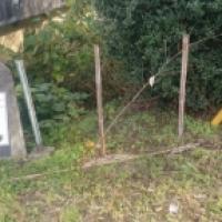 NiwaNaviImage NiwaNaviImage