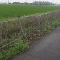 NiwaNaviImage NiwaNaviImage