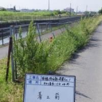 NiwaNaviImage NiwaNaviImage