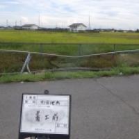 NiwaNaviImage NiwaNaviImage