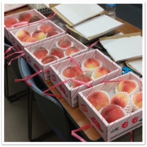 NiwaNaviImage NiwaNaviImage