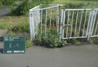 NiwaNaviImage NiwaNaviImage