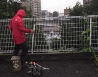 NiwaNaviImage NiwaNaviImage