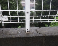 NiwaNaviImage NiwaNaviImage