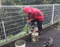 NiwaNaviImage NiwaNaviImage