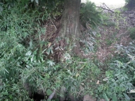 NiwaNaviImage NiwaNaviImage