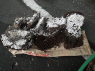 NiwaNaviImage NiwaNaviImage