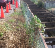 NiwaNaviImage NiwaNaviImage