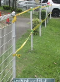 NiwaNaviImage NiwaNaviImage