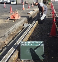 NiwaNaviImage NiwaNaviImage