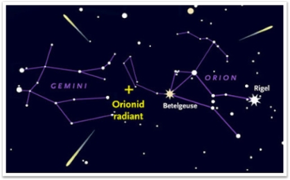 NiwaNaviImage NiwaNaviImage