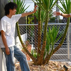 IMG_20220921_192644_955