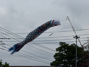 S__12525589_0