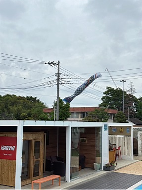 S__8814667_0