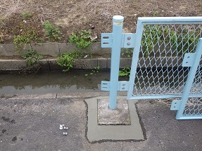 RIMG5501