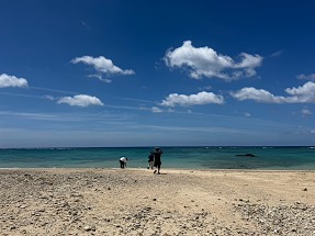 S__16244743_0