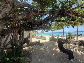 S__16244740_0